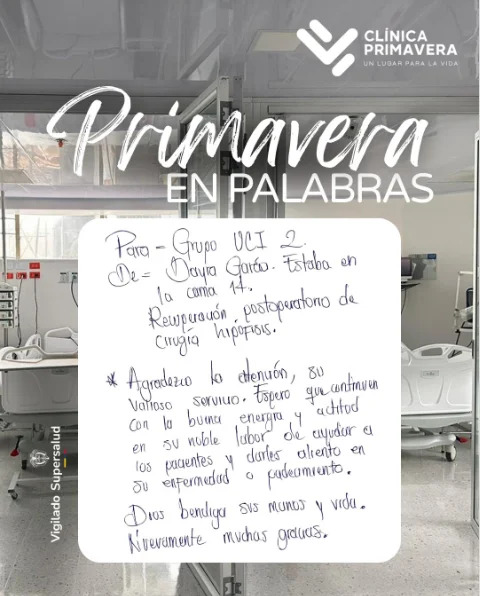 Publicación 1