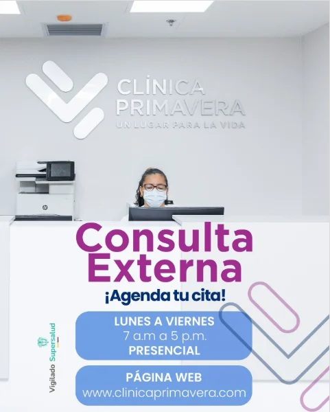 Publicación 3